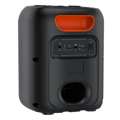 Blaupunkt Harmony 20W Party Speaker – Portable Bluetooth® Speaker with LED Lights & FM Radio
