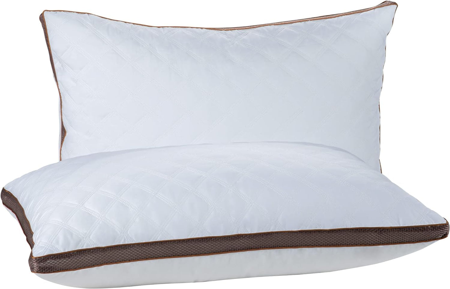 Remedy Health Goose Feather Pillow 2 pack